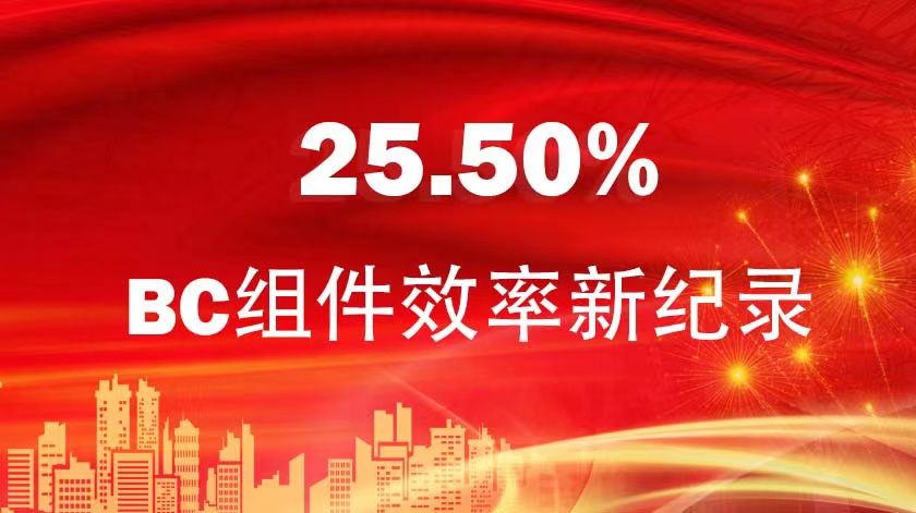 BC组件效率25.50%！金石能源混合型BC组件再创新纪录